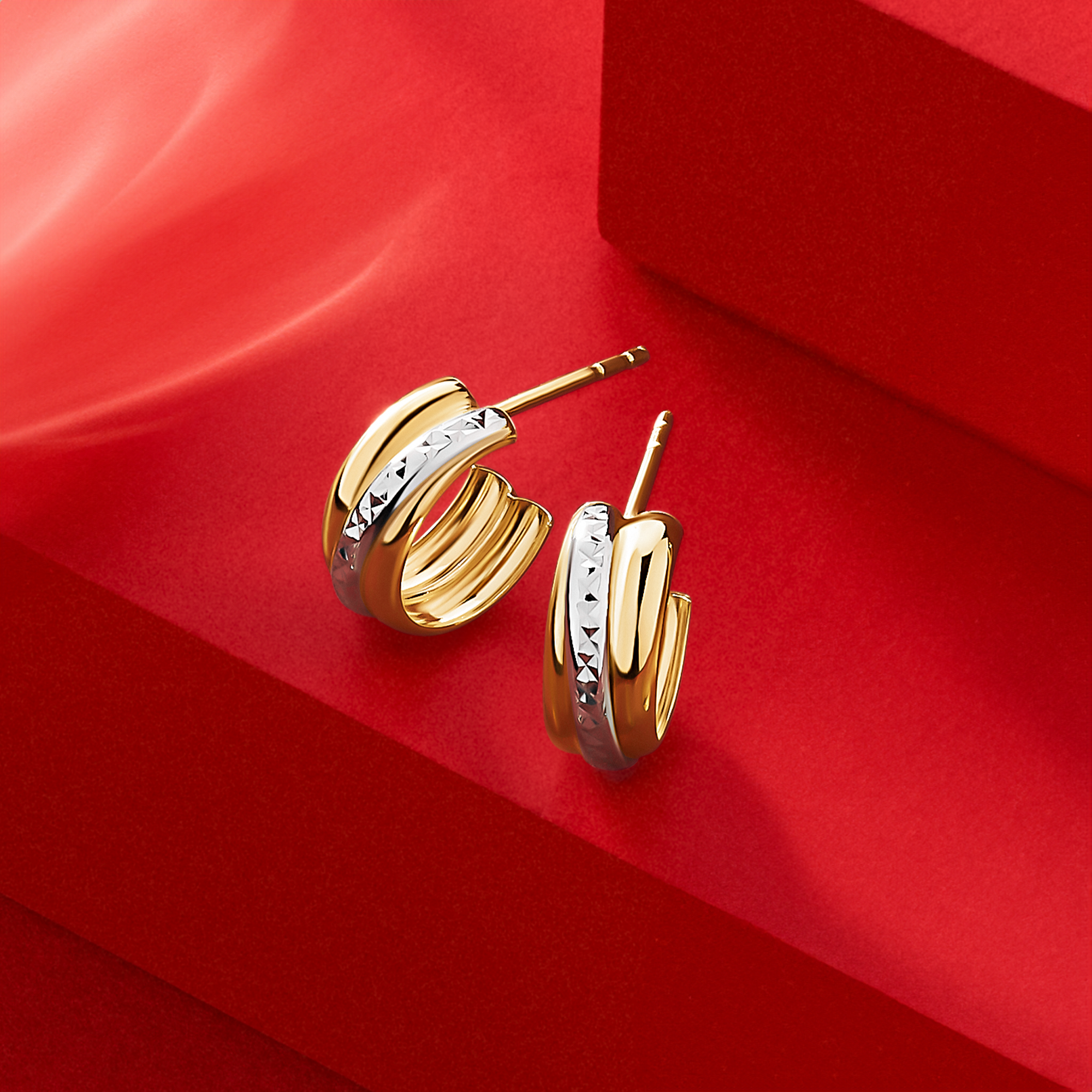 Diamond Cut Hoop Earrings in 9ct Yellow and White Gold