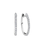 A pair of 9ct white gold hoop earrings shown front on, featuring 36 claw-set round brilliant cut natural diamonds, measuring 19mm in length and 1.5mm in diameter.