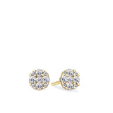 Front-on view of the Wallace Bishop 0.25 TDW Round Diamond Heart Prong Stud Earrings in 9ct Yellow Gold, reference 3EBB239Y. Each earring features a cluster of claw-set natural round diamonds framed by small heart-shaped prong details.