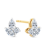 0.40ct TW Diamond Cluster Earrings in 9ct Yellow Gold
