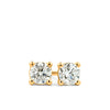 Rendition Solitaire Earrings in 9ct Yellow Gold