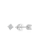 0.25ct TW Diamond Stud Earrings in 18ct White Gold