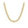 Semi-Solid Box Chain in 9ct Yellow Gold