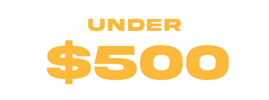 Black Friday Under $500