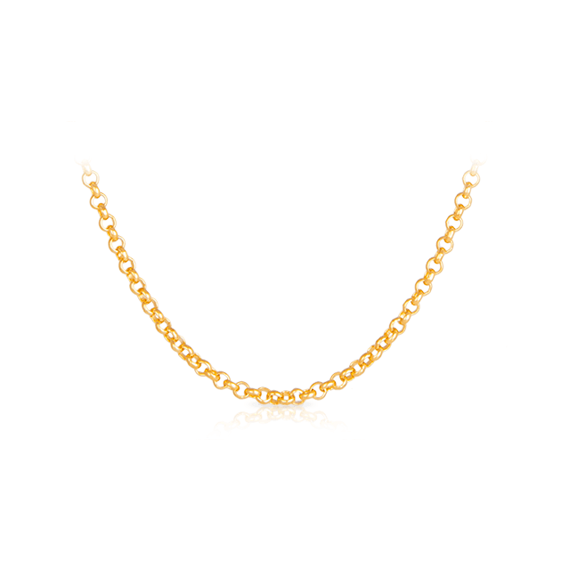 50cm Belcher Chain Necklace in 9ct Yellow Gold - Wallace Bishop