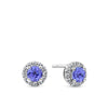 Front-on view of the Wallace Bishop Bluebird 0.19 TDW Round Tanzanite & Diamond Halo Stud Earrings in 9ct White Gold, reference 93ERTZ02W. Each earring features a natural 4mm round tanzanite surrounded by a halo of natural round brilliant cut diamonds.