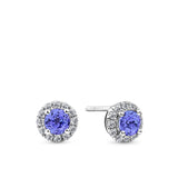 Front-on view of the Wallace Bishop Bluebird 0.19 TDW Round Tanzanite & Diamond Halo Stud Earrings in 9ct White Gold, reference 93ERTZ02W. Each earring features a natural 4mm round tanzanite surrounded by a halo of natural round brilliant cut diamonds.