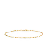 9ct Polished Yellow Gold Paperclip Shape Anklet