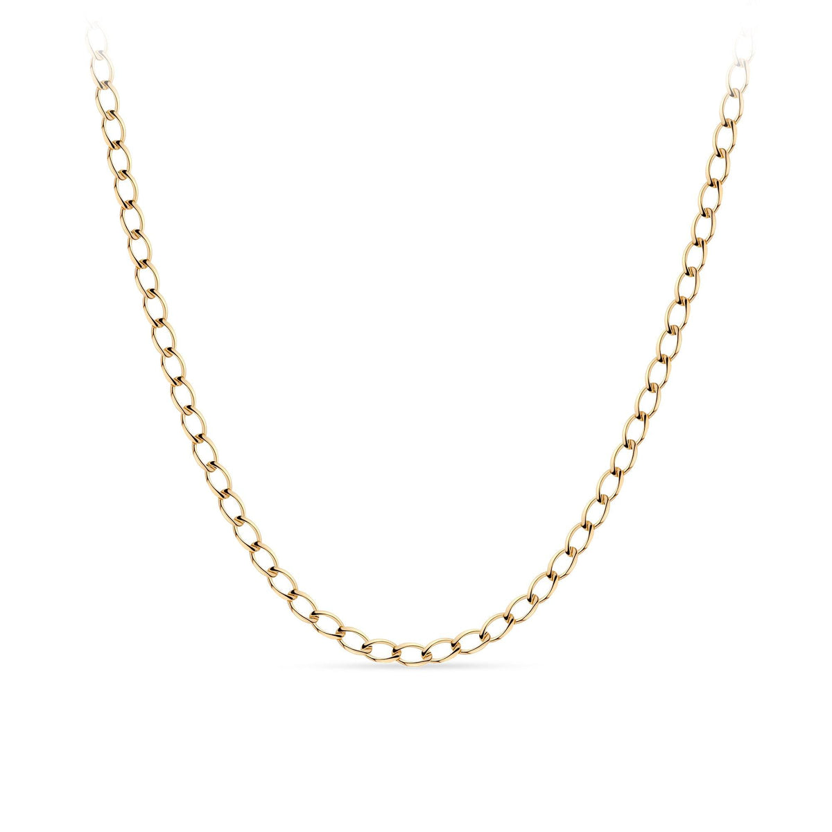 9ct Yellow Gold Curb Pattern Parrot Clasp Chain Necklace - Wallace Bishop