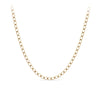9ct Yellow Gold Curb Pattern Parrot Clasp Chain Necklace - Wallace Bishop