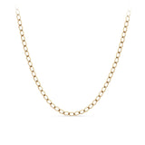 9ct Yellow Gold Curb Pattern Parrot Clasp Chain Necklace - Wallace Bishop
