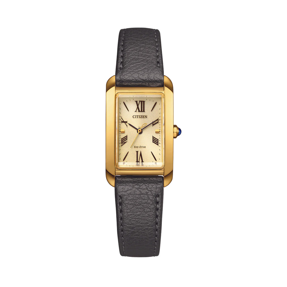 Citizen Eco Drive Women's Watch EW5622-09P