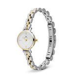 Daniel Wellington Petite Mini Quartz Women's 19mm Watch DW00100923