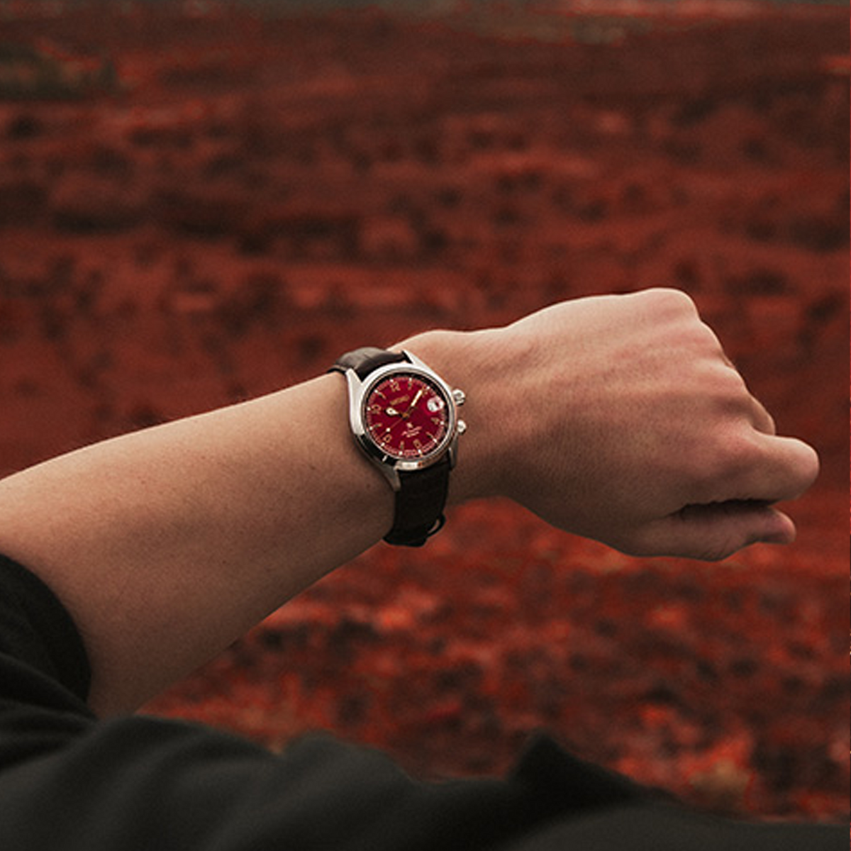 Mens watches on afterpay hotsell