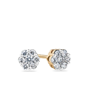 0.25ct TW Diamond Cluster Stud Earrings in 9ct Yellow Gold