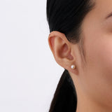 5mm Freshwater Pearl Earrings in 9ct Yellow Gold