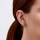 Freshwater Pearl Drop Earrings in 9ct Yellow Gold