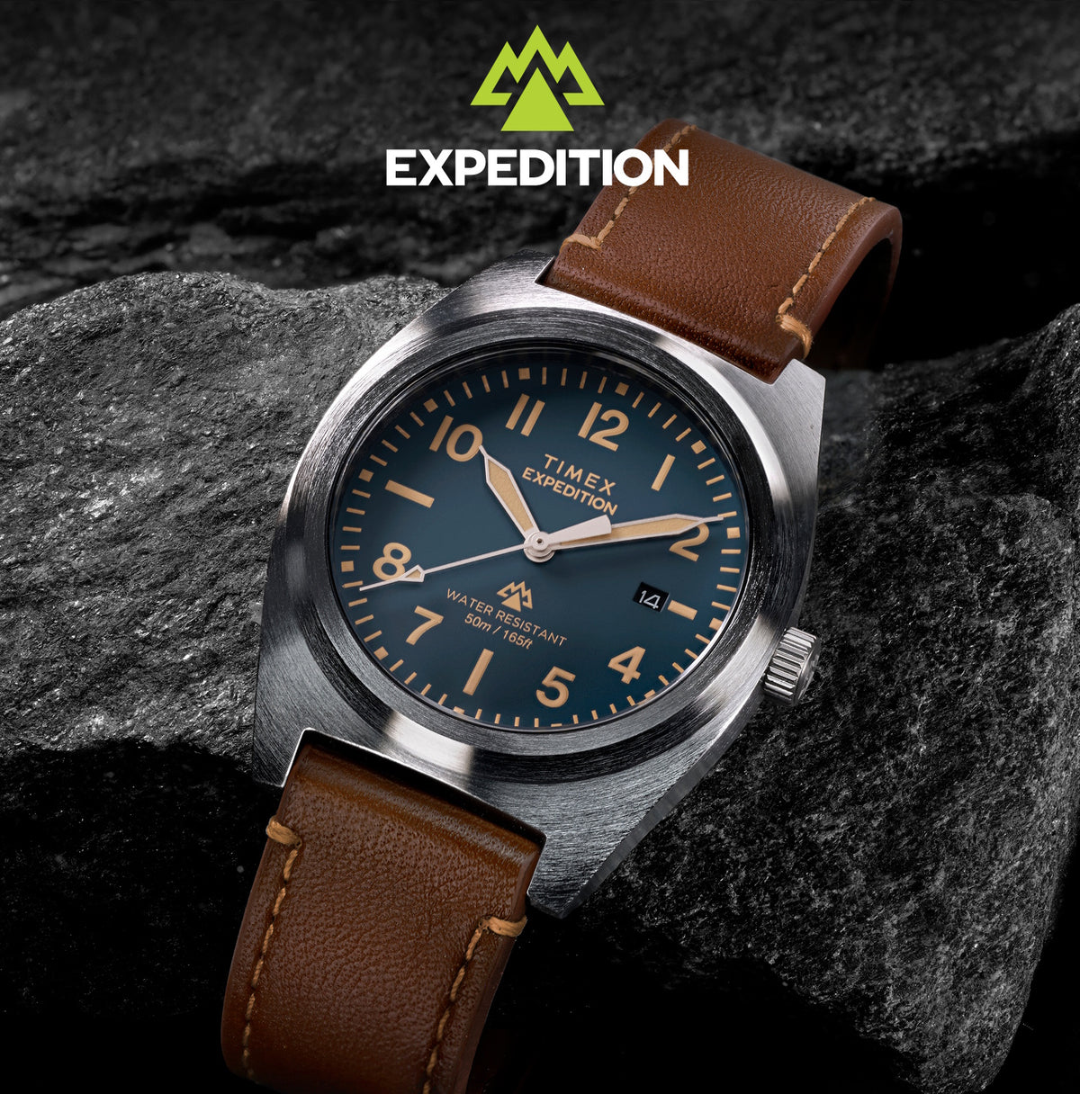 Timex Expedition