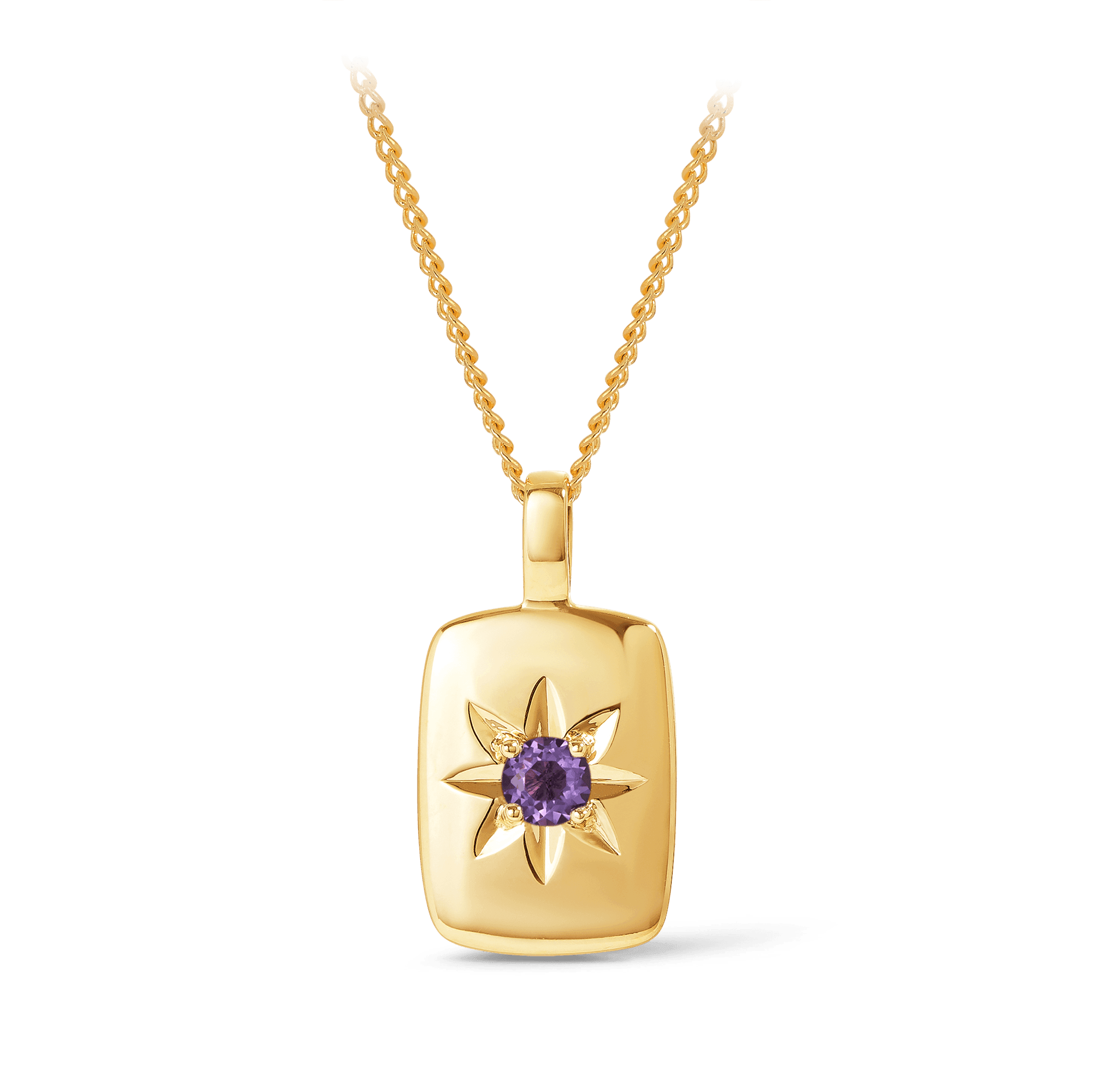 Amethyst Star Set Rectangular Pendant in 9ct Yellow Gold
