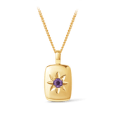 Amethyst Star Set Rectangular Pendant in 9ct Yellow Gold - Wallace Bishop