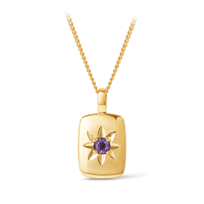 Amethyst Star Set Rectangular Pendant in 9ct Yellow Gold - Wallace Bishop