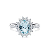 Bluebird™ Aquamarine & 0.50ct TW Diamond Ring in 9ct White Gold - Wallace Bishop