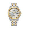 Citizen Eco Drive Men's 43mm Two-Tone Eco Drive Watch BM7534-59A - Wallace Bishop