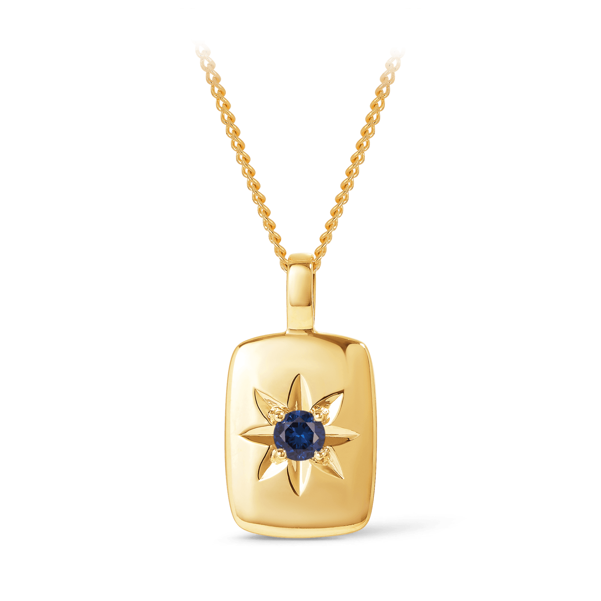Created Sapphire Star Set Rectangular Pendant in 9ct Yellow Gold - Wallace Bishop