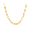 Curb Pattern Solid Chain in 9ct Yellow Gold - Wallace Bishop