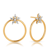 Diamond Circle Star Stud Earrings in 9ct Yellow Gold - Wallace Bishop