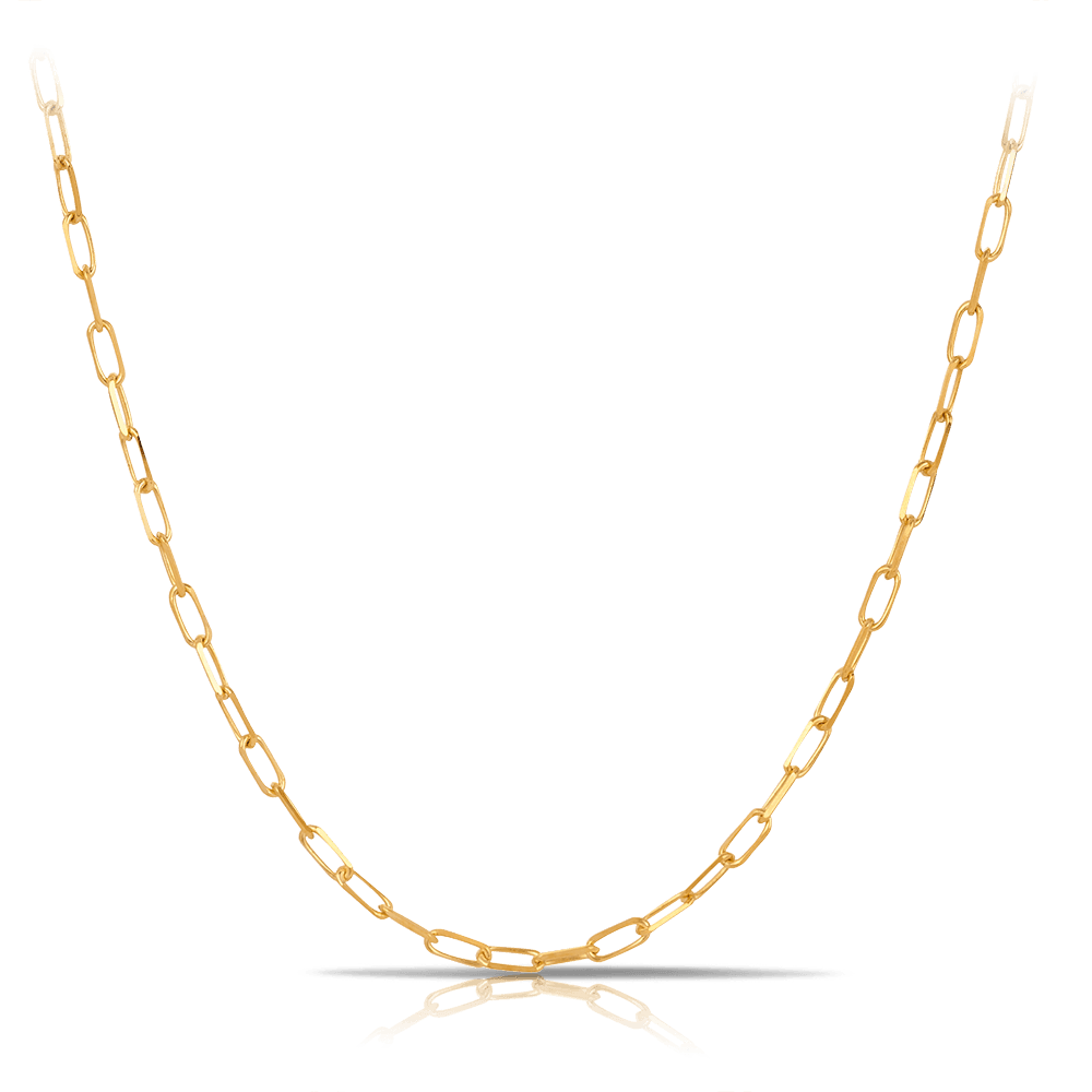 Diamond Cut Paperclip Link Chain in 9ct Yellow Gold - Wallace Bishop