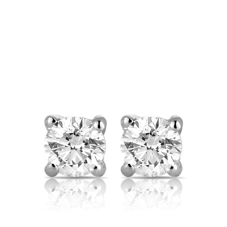 Diamond Stud Earrings in 9ct White Gold TDW 0.25ct - Wallace Bishop