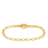 Euro Belcher Chain Bracelet in 9ct Yellow Gold - Wallace Bishop