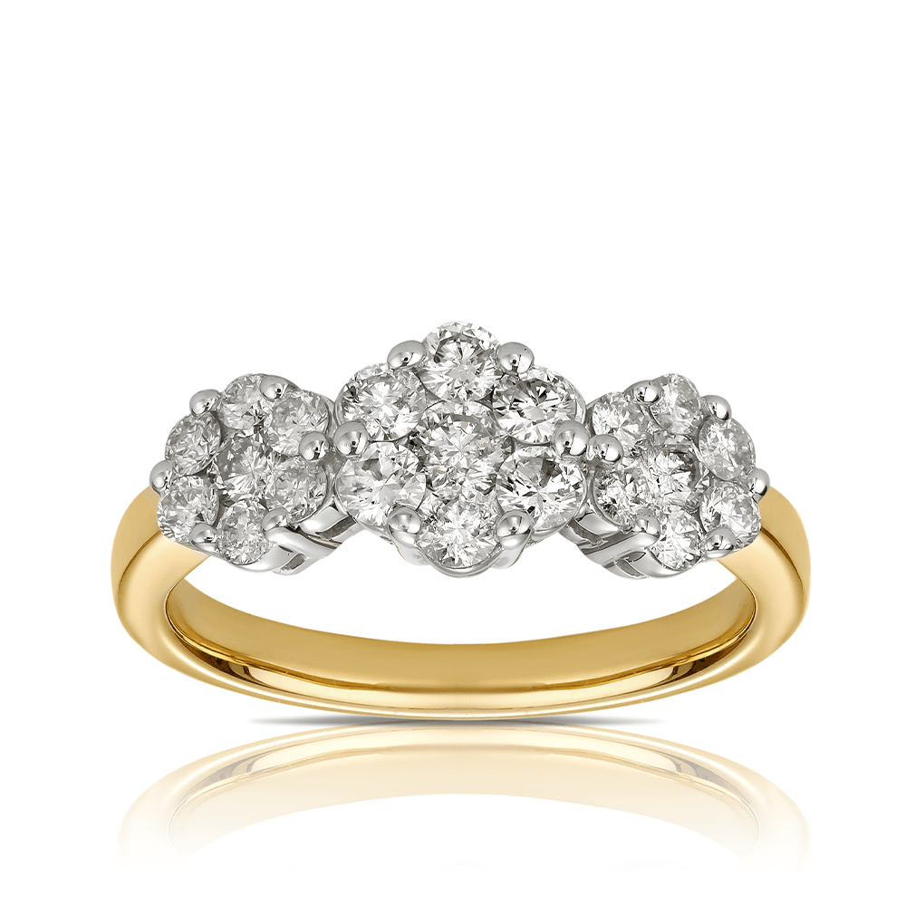 Floral Trilogy Diamond Engagement Ring in 9ct Yellow Gold TDW 1.00ct - Wallace Bishop