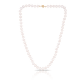 Freshwater Pearl Strand Necklace with 9ct Yellow Gold Clasp - Wallace Bishop