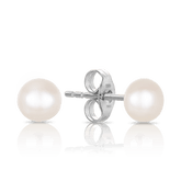 Freshwater Pearl Stud Earrings in Sterling Silver - Wallace Bishop