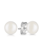 Freshwater Pearl Stud Earrings in Sterling Silver - Wallace Bishop