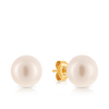 Freshwater Pearl Stud Earrings set in 9ct Yellow Gold - Wallace Bishop