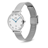 Daniel Wellington Petite Roman Numerals Date Silver