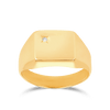 Men's Signet Cubic Zirconia Polished Ring in 9ct Yellow Gold - Wallace Bishop