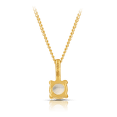 Moonstone Round Pendant in 9ct Yellow Gold - Wallace Bishop