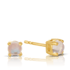 Moonstone Round Stud Earrings in 9ct Yellow Gold - Wallace Bishop