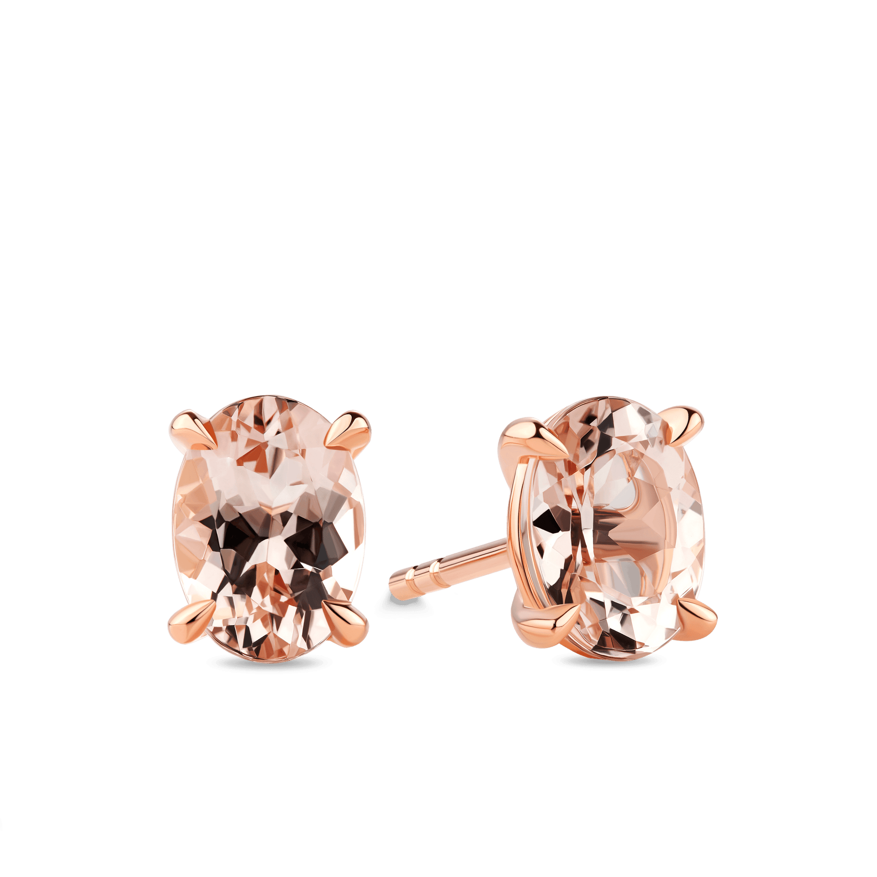 Morganite Oval Claw Set Stud Earrings in 9ct Rose Gold - Wallace Bishop