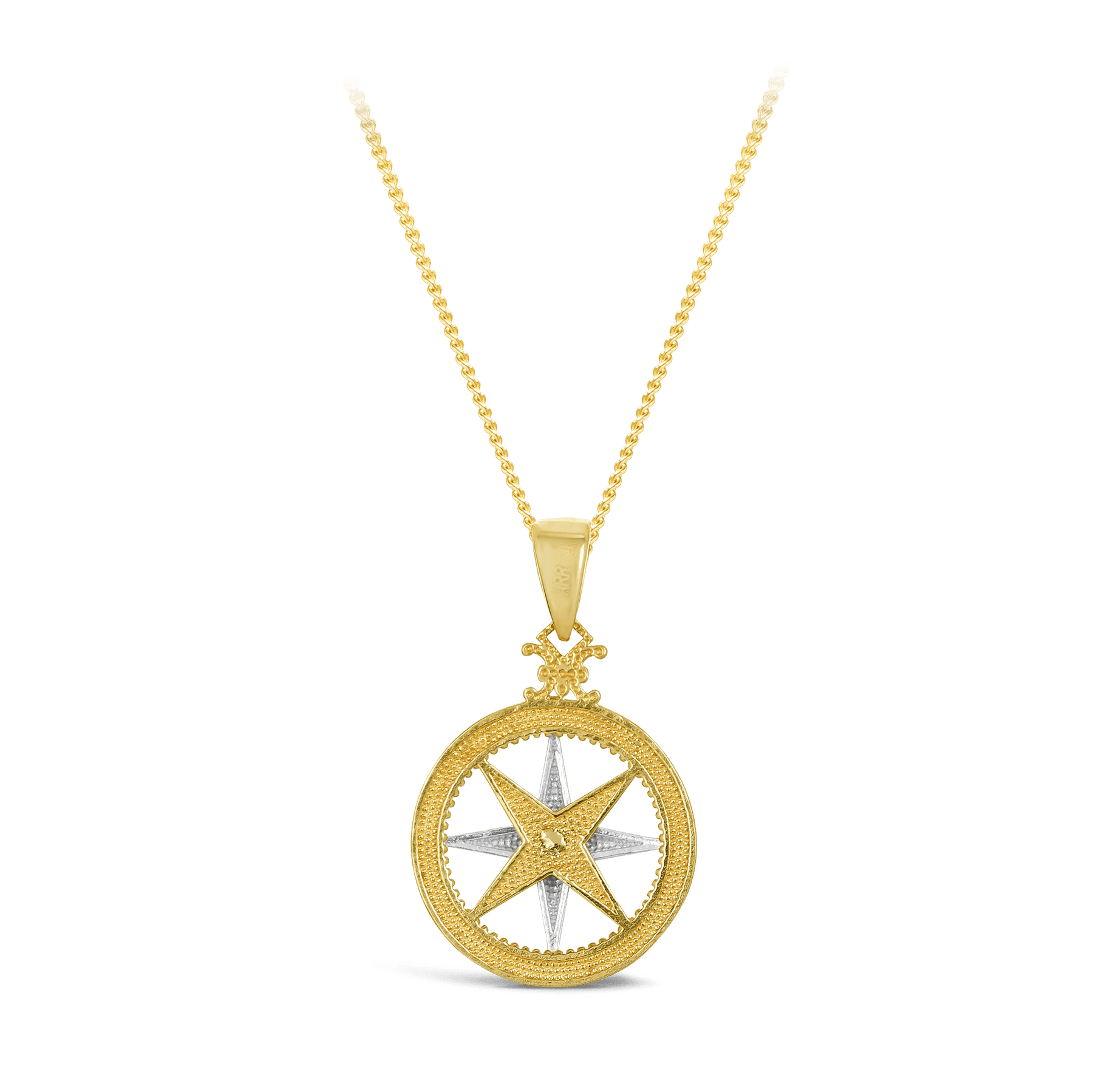 Compass top necklace locket