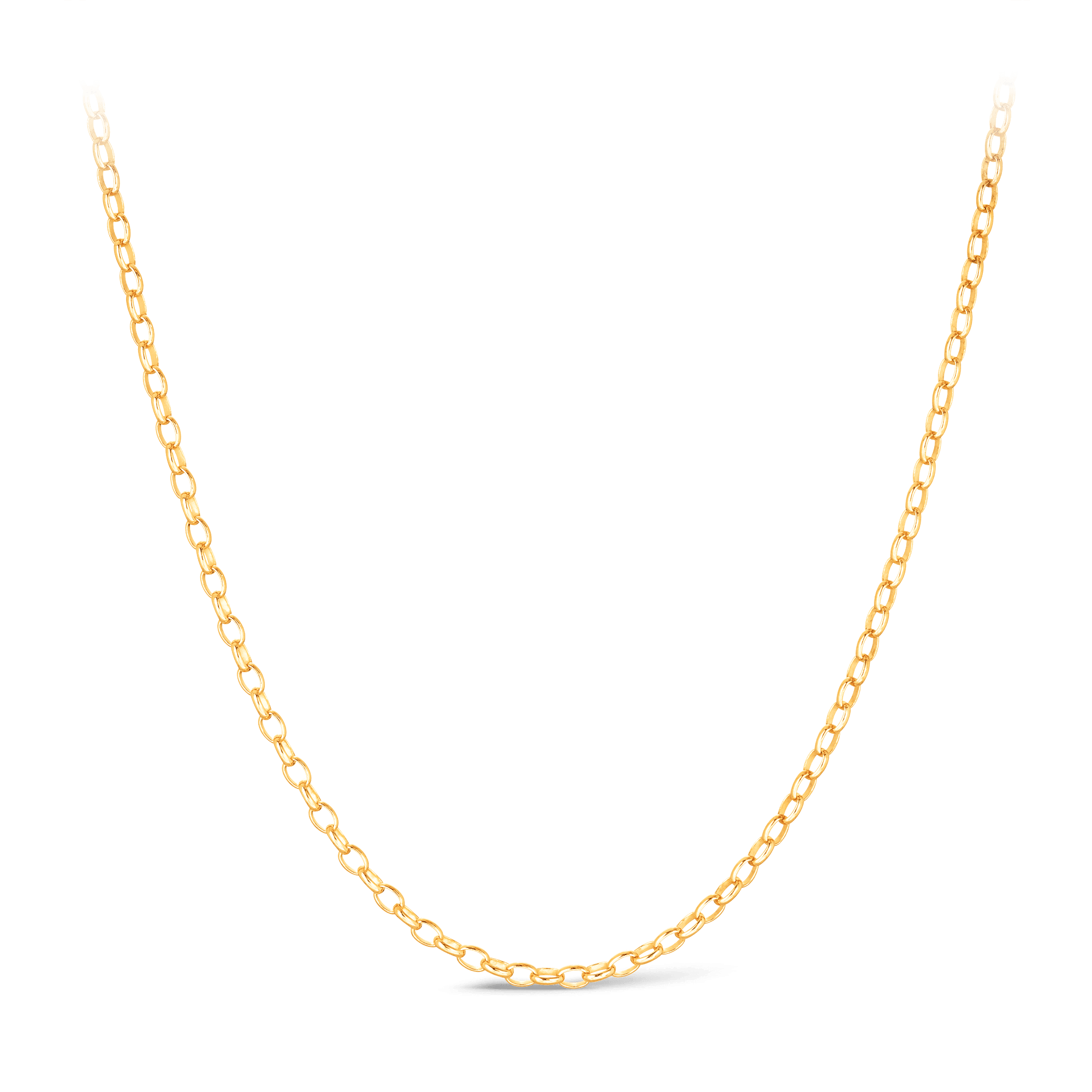 Oval Belcher Link Chain in 9ct Yellow Gold - Wallace Bishop