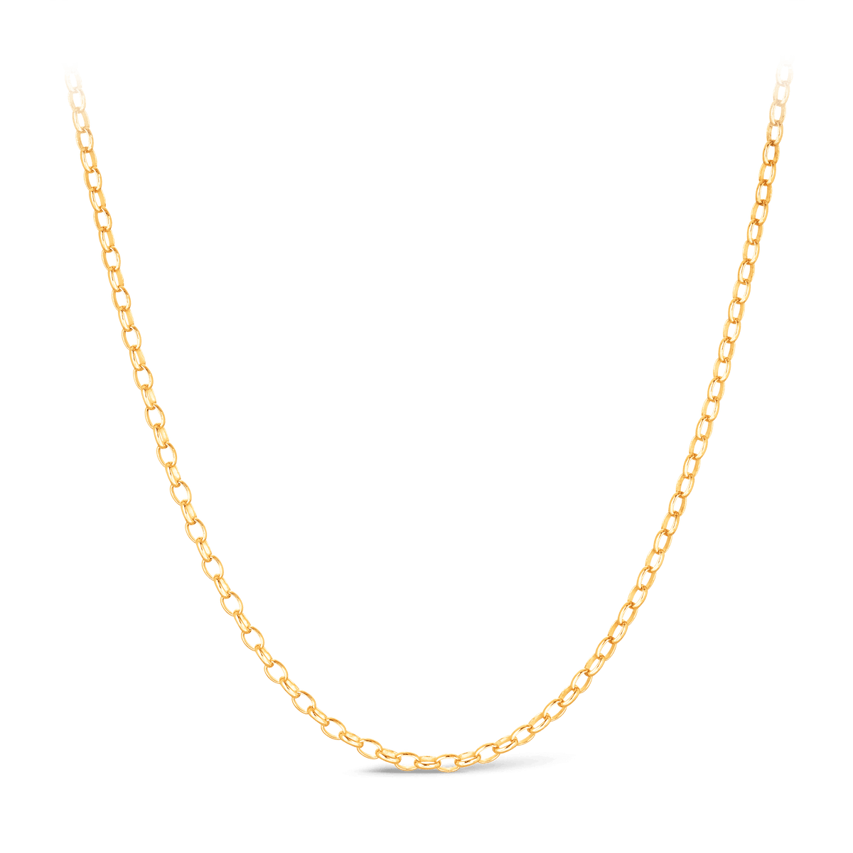 Oval Belcher Link Chain in 9ct Yellow Gold - Wallace Bishop