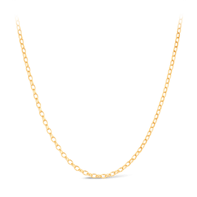 Oval Belcher Link Chain in 9ct Yellow Gold - Wallace Bishop