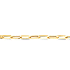 Paperclip Bracelet in 9ct Yellow Gold - Wallace Bishop