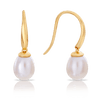 Pearl Drop Earrings in 9ct Yellow Gold - Wallace Bishop