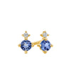Petite Tanzanite & Diamond Earrings in 9ct Yellow Gold - Wallace Bishop